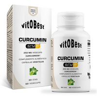 Curcumin (BCM-95®)